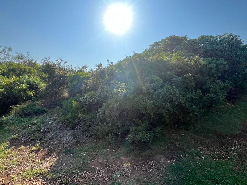 Vacant Land for Sale in Noorsekloof, Jeffreys Bay Prime Location at Just R476,000 - Photo 9