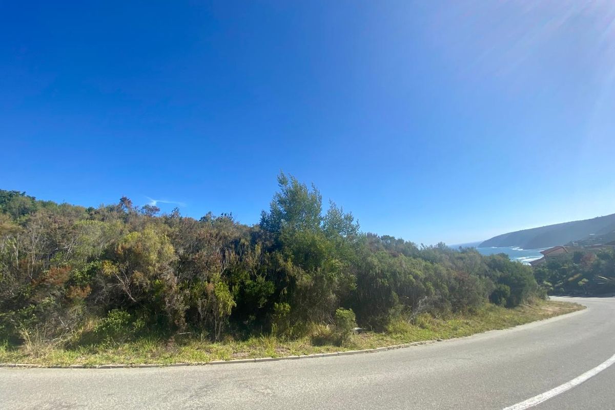 Panoramic Ocean Views – Prime Stand on Constantia Drive, Wilderness - Photo 5