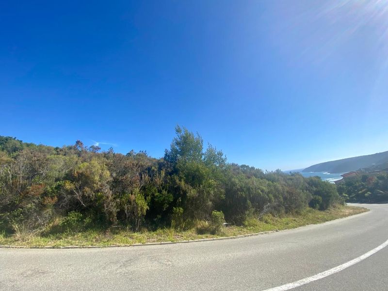 Panoramic Ocean Views – Prime Stand on Constantia Drive, Wilderness - Photo 5