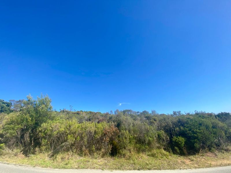 Panoramic Ocean Views – Prime Stand on Constantia Drive, Wilderness - Photo 7