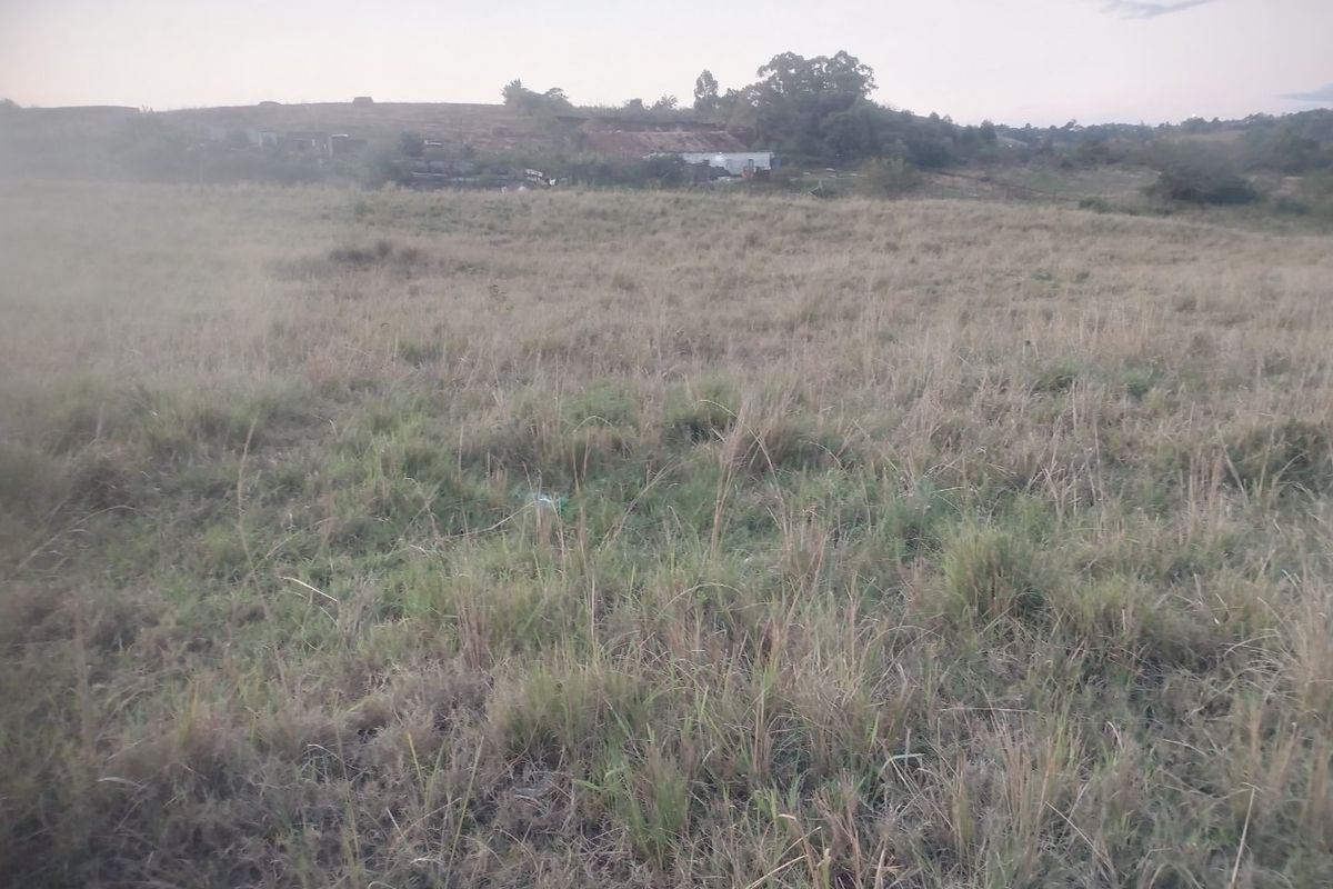 Vacant land for sale in Dlangezwa,Ongoye. - Photo 4