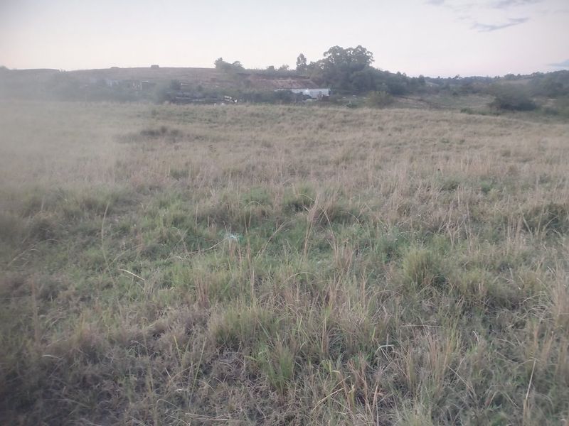 Vacant land for sale in Dlangezwa,Ongoye. - Photo 4
