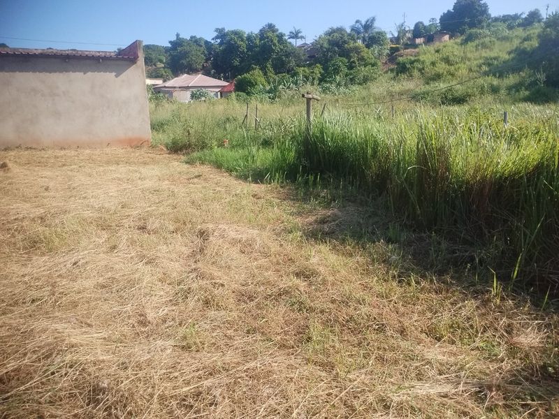 1Bedroom house for sale in Dlangezwa,Ongoye. - Photo 8