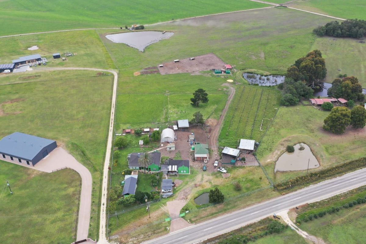 Guest Farm with Income Potential on the Scenic Seven Passes Road - Photo 4