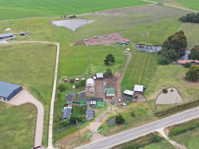 Guest Farm with Income Potential on the Scenic Seven Passes Road - Photo 4