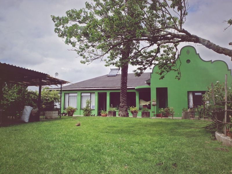 Guest Farm with Income Potential on the Scenic Seven Passes Road - Photo 10