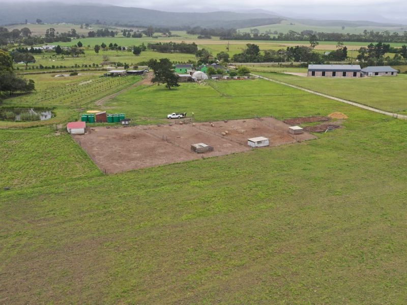 Guest Farm with Income Potential on the Scenic Seven Passes Road - Photo 9