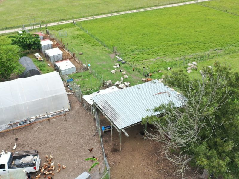 Guest Farm with Income Potential on the Scenic Seven Passes Road - Photo 8