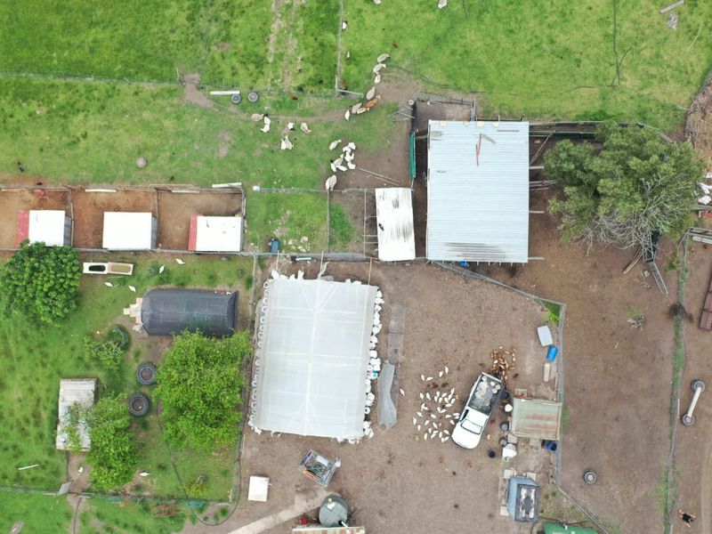 Guest Farm with Income Potential on the Scenic Seven Passes Road - Photo 7