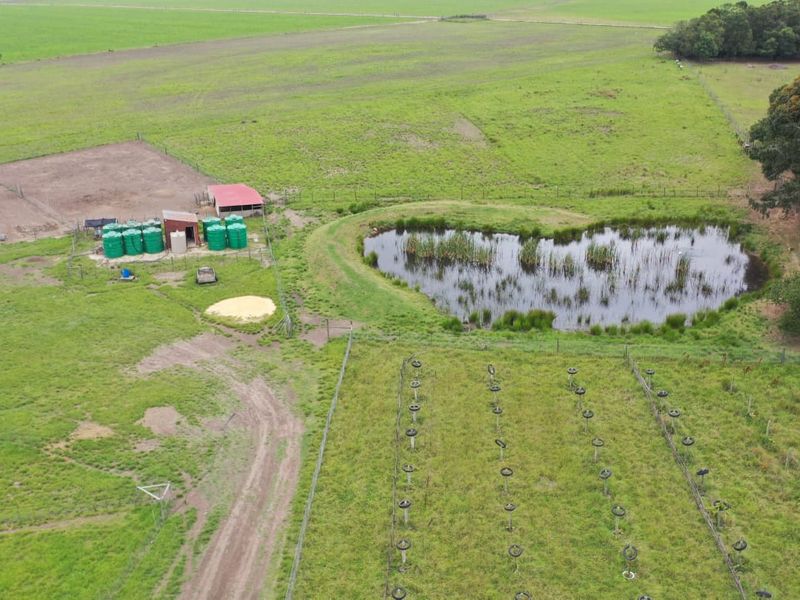Guest Farm with Income Potential on the Scenic Seven Passes Road - Photo 6