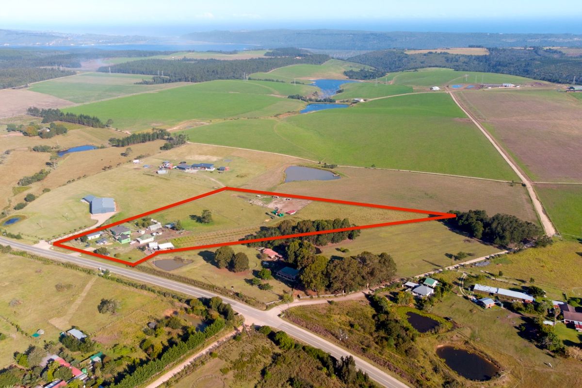 Guest Farm with Income Potential on the Scenic Seven Passes Road - Photo 3