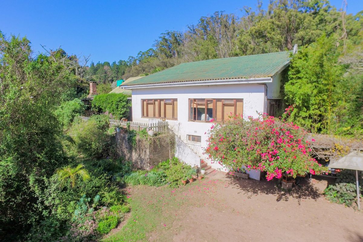 18ha Riverfront Haven on the Goukamma – A Rare Lifestyle & Income Opportunity - Photo 3