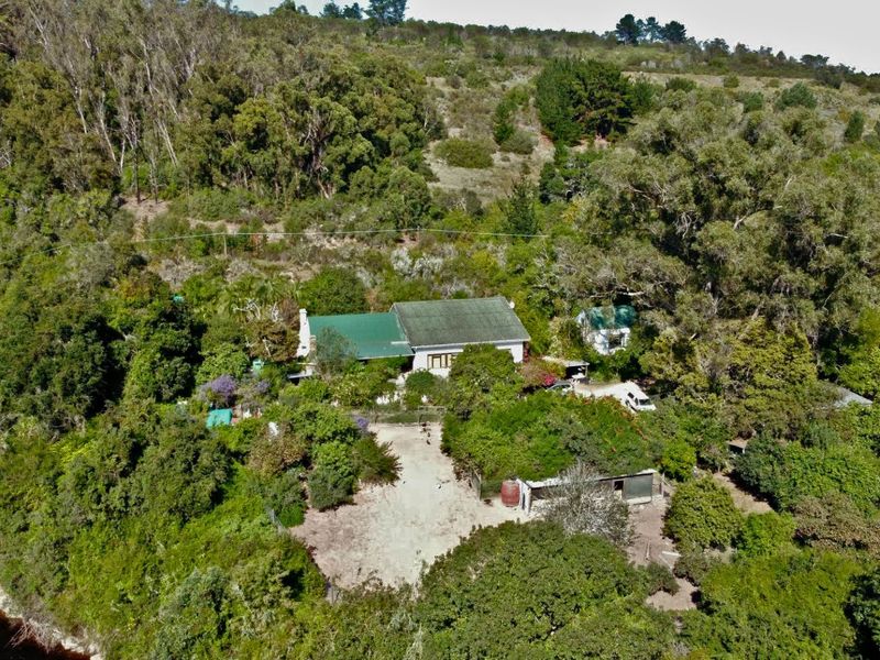 18ha Riverfront Haven on the Goukamma – A Rare Lifestyle & Income Opportunity - Photo 2