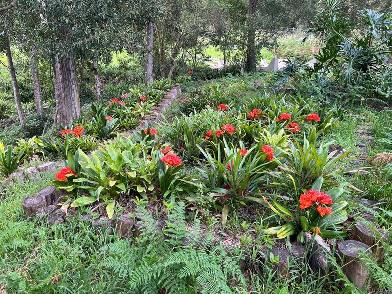 Off the grid Lifestyle Property ideal for dual living or potential income generating prospects - Photo 10