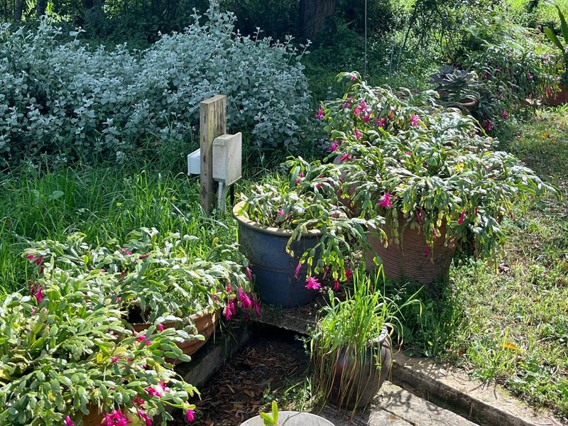 Off the grid Lifestyle Property ideal for dual living or potential income generating prospects - Photo 9