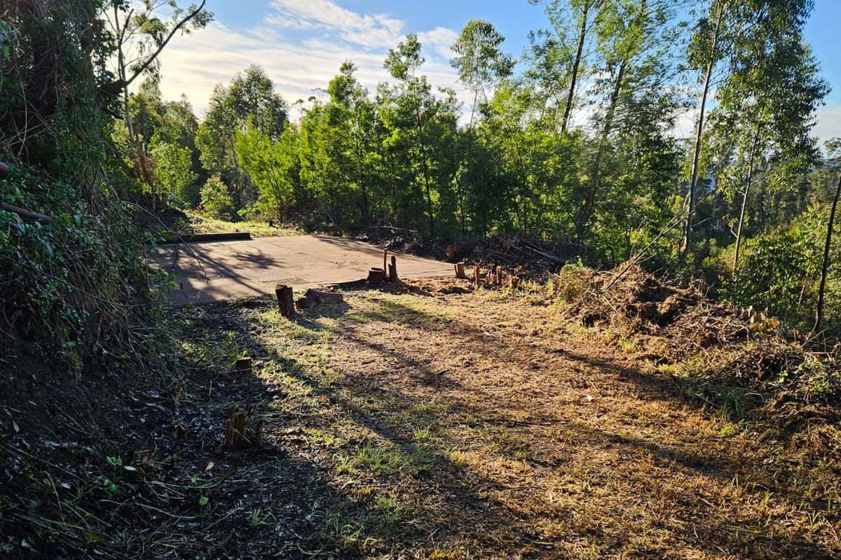 Exclusive Mandate – Build Your Country Escape in Elandskraal - Photo 5