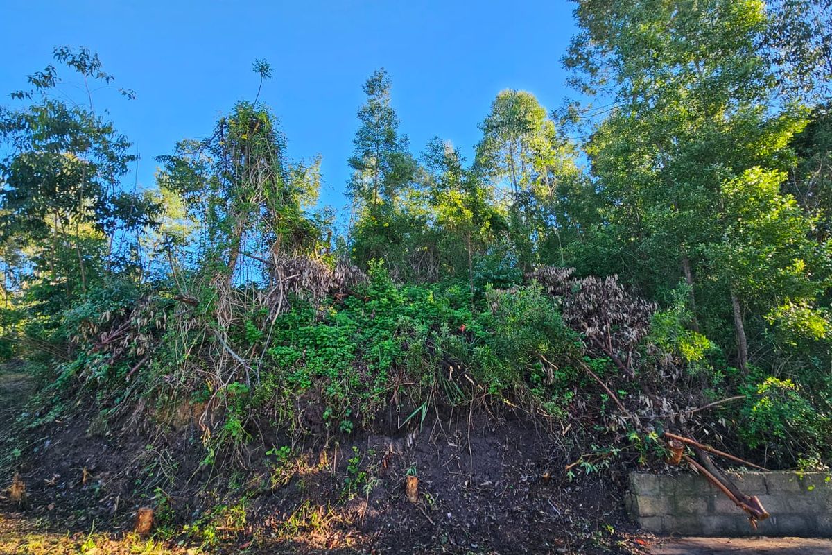 Exclusive Mandate – Build Your Country Escape in Elandskraal - Photo 4