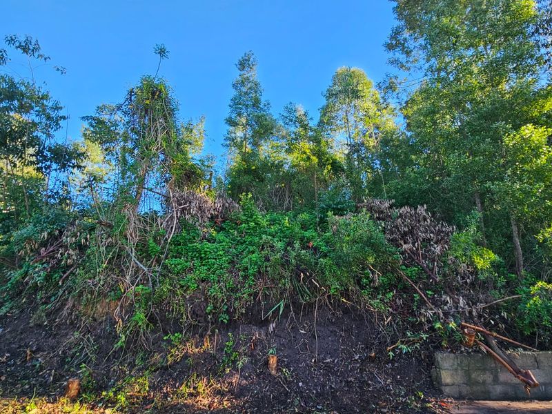 Exclusive Mandate – Build Your Country Escape in Elandskraal - Photo 4