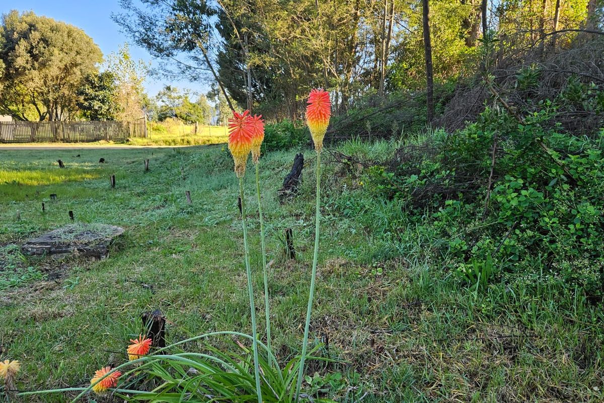 Exclusive Mandate – Build Your Country Escape in Elandskraal - Photo 3