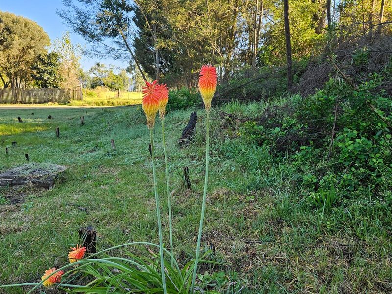 Exclusive Mandate – Build Your Country Escape in Elandskraal - Photo 3