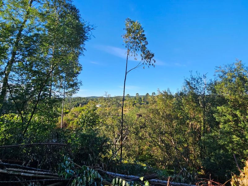 Exclusive Mandate – Build Your Country Escape in Elandskraal - Photo 10