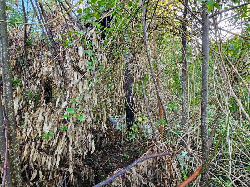 Exclusive Mandate – Build Your Country Escape in Elandskraal - Photo 9