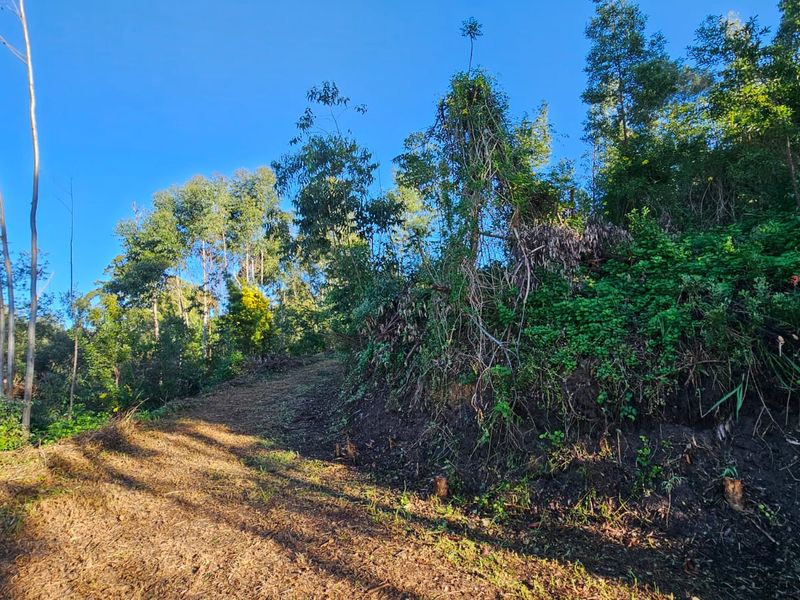 Exclusive Mandate – Build Your Country Escape in Elandskraal - Photo 8