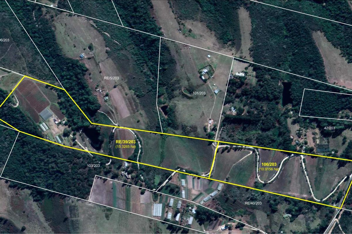 Established 25.9ha Commercial Vegetable Farm – Fully Integrated Operation on Barrington Road - Photo 4