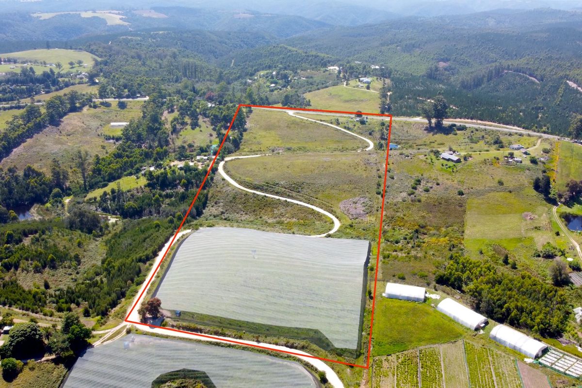 Established 25.9ha Commercial Vegetable Farm – Fully Integrated Operation on Barrington Road - Photo 5