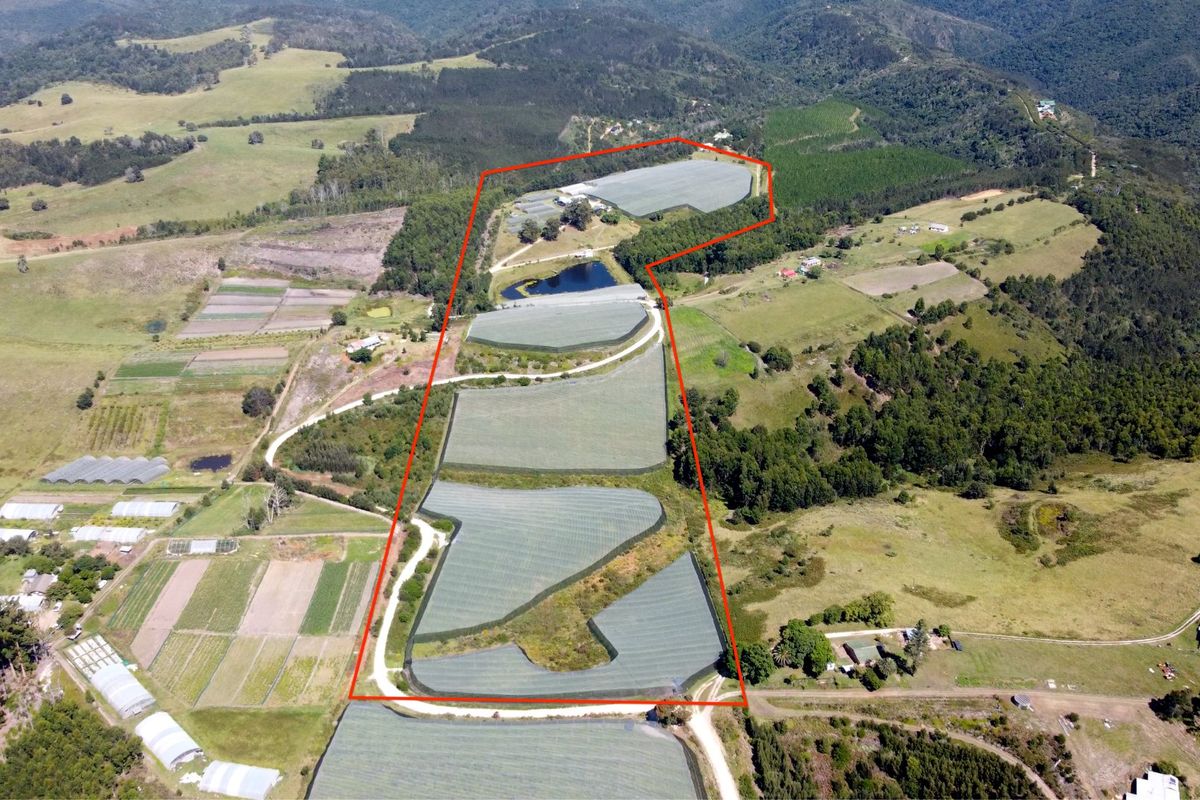 Established 25.9ha Commercial Vegetable Farm – Fully Integrated Operation on Barrington Road - Photo 3