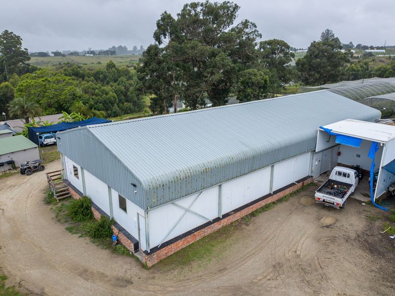 Aerial view of a large agricultural shed with corrugated metal roofing and brick foundation, situated on a farm property with adjacent greenhouse tunnels.