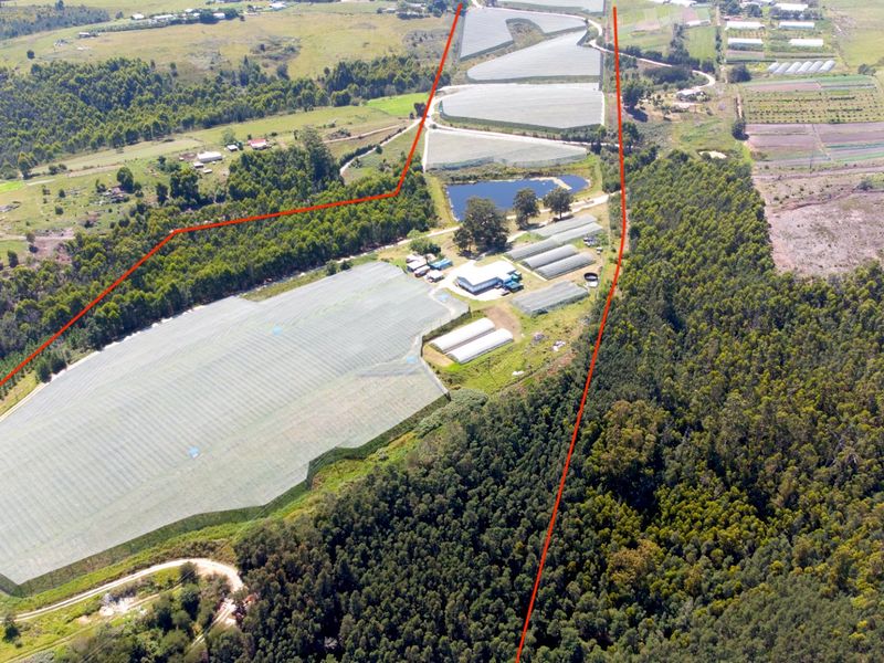 Aerial view of a large agricultural farm property featuring extensive netting, greenhouses, a dam, and surrounding forest landscape.