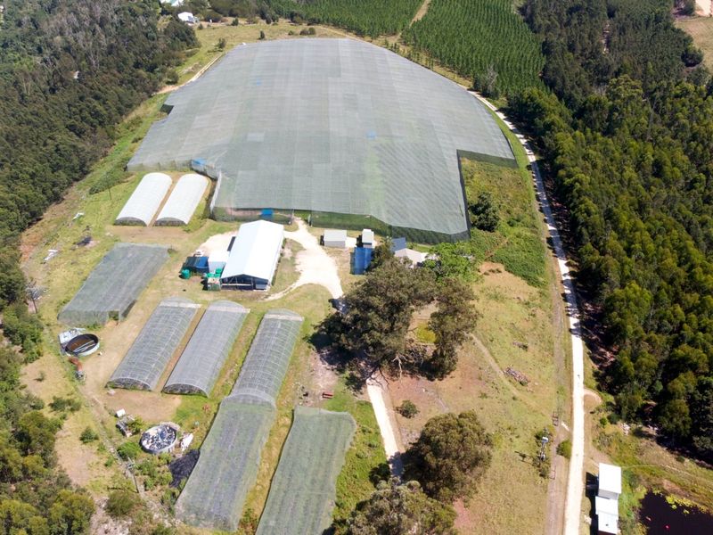 Aerial view of a farm property featuring extensive agricultural netting, multiple polytunnels, farm infrastructure, and water storage tanks set within a rural landscape.