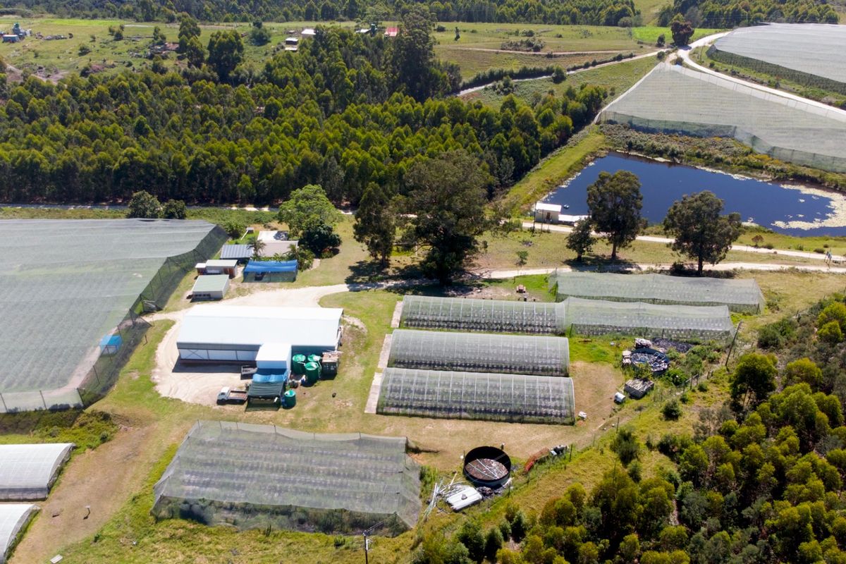 Aerial view of a farm property featuring multiple agricultural tunnels, a dam, storage sheds, and established water infrastructure set within a rural landscape.