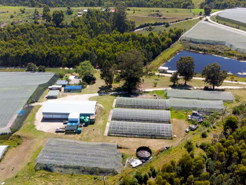Aerial view of a farm property featuring multiple agricultural tunnels, a dam, storage sheds, and established water infrastructure set within a rural landscape.