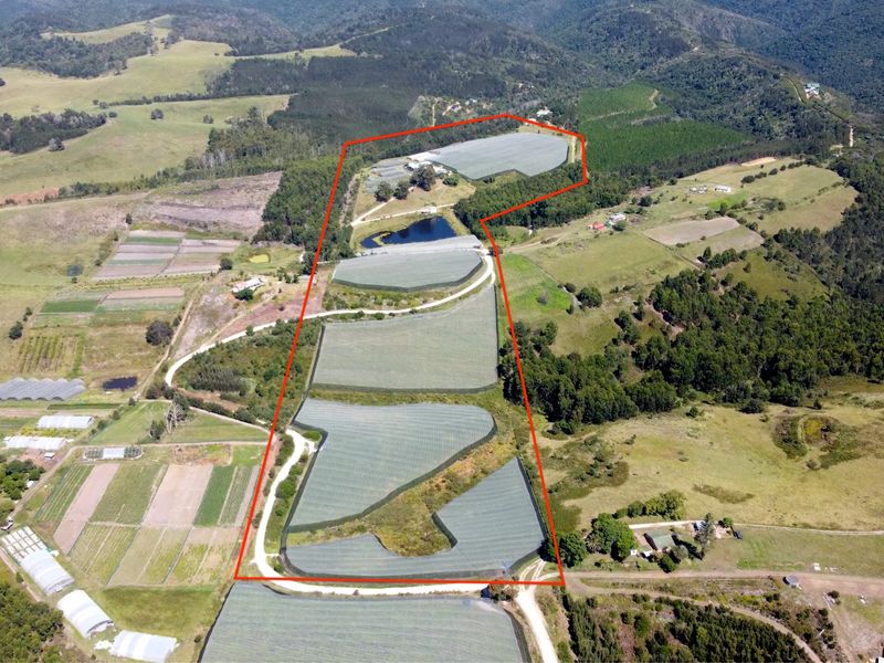 Aerial view of a large farm property featuring extensive agricultural netting, a private dam, and established access roads within a rural landscape.