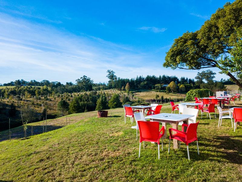 Exceptional Smallholding with Upmarket Restaurant & Hospitality Potential - Photo 9