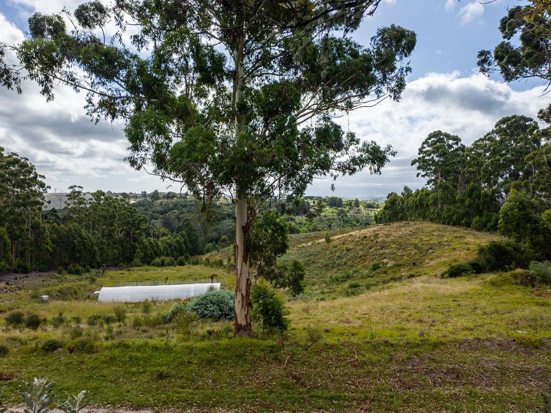 Smallholding with Views in Elandskraal - Photo 10