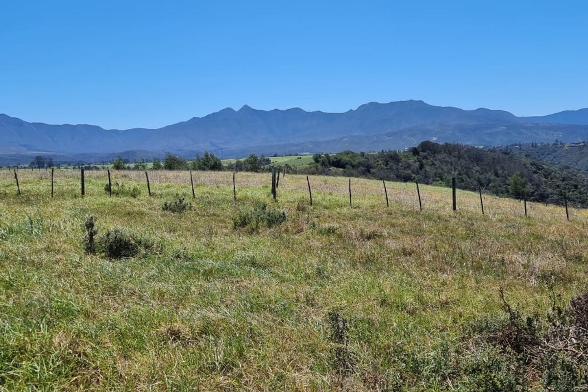 64 ha of natural environment on the Karatara River with some cleared areas on the plato at the top of the property - Photo 4