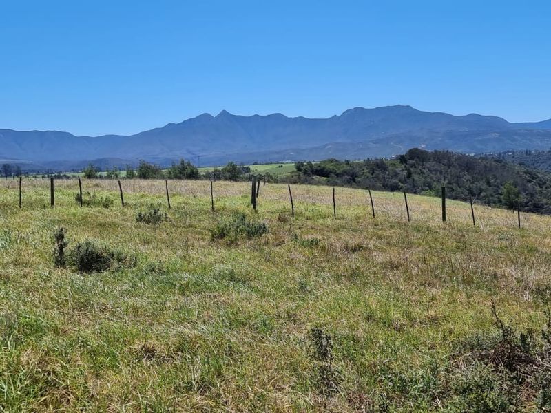 64 ha of natural environment on the Karatara River with some cleared areas on the plato at the top of the property - Photo 4