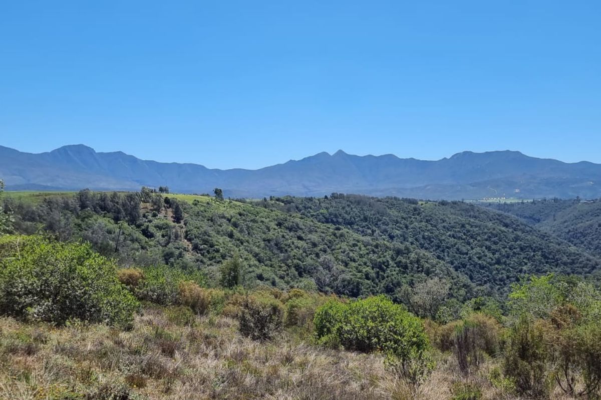 64 ha of natural environment on the Karatara River with some cleared areas on the plato at the top of the property - Photo 2
