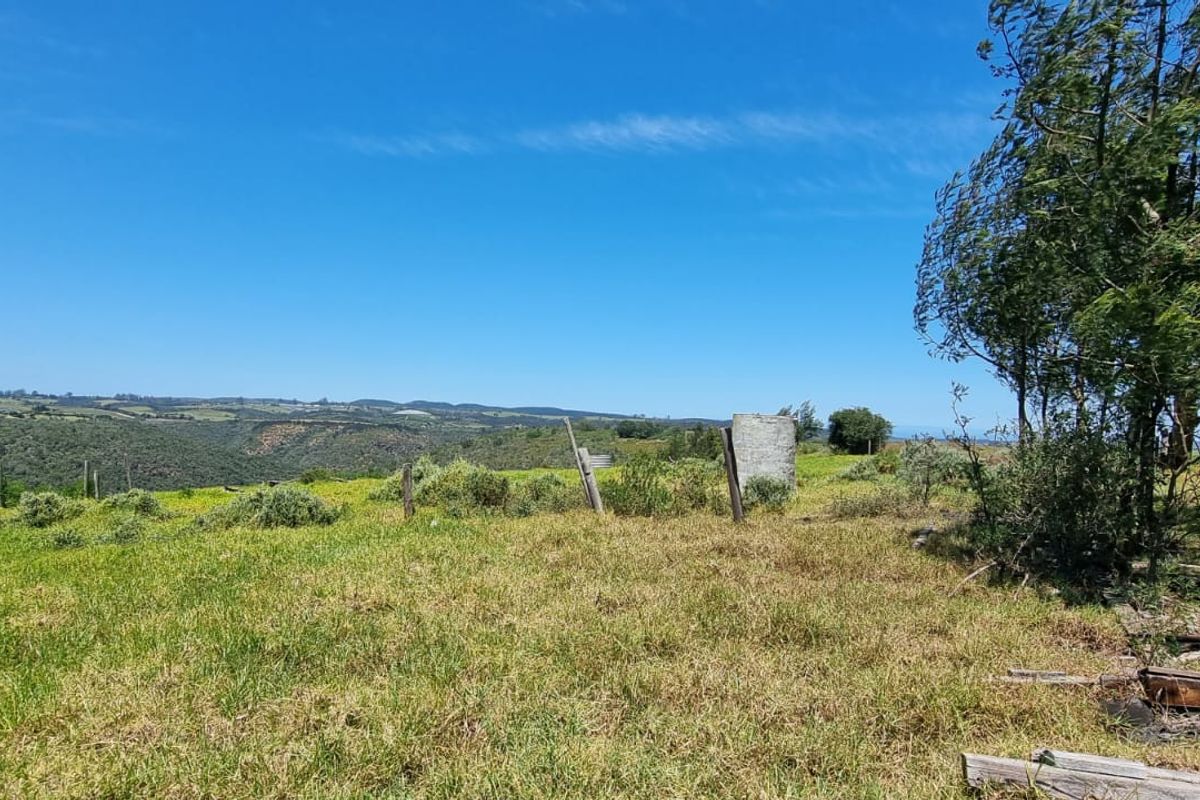 64 ha of natural environment on the Karatara River with some cleared areas on the plato at the top of the property - Photo 3