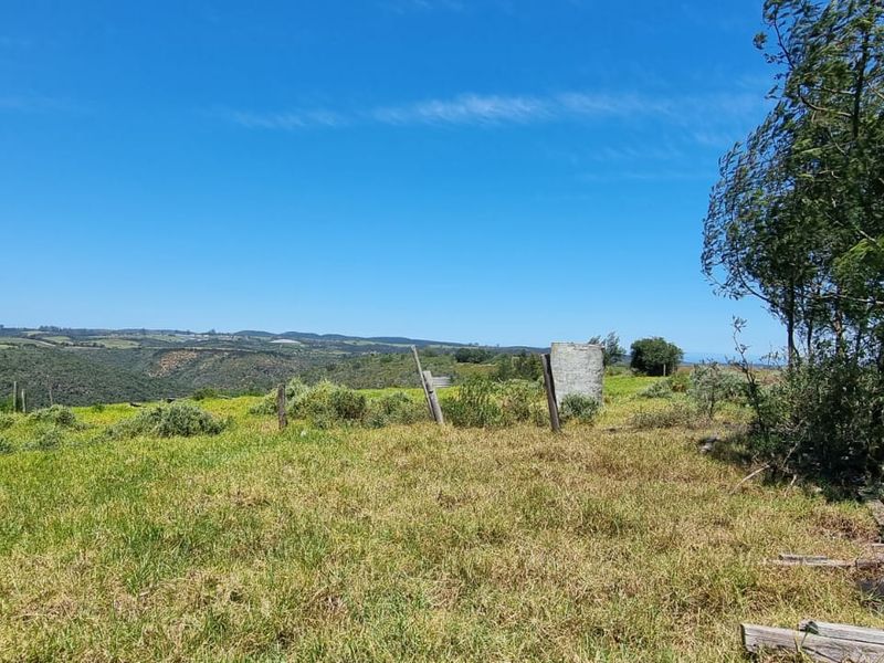 64 ha of natural environment on the Karatara River with some cleared areas on the plato at the top of the property - Photo 3