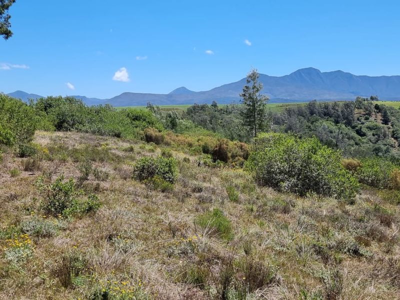 64 ha of natural environment on the Karatara River with some cleared areas on the plato at the top of the property - Photo 10