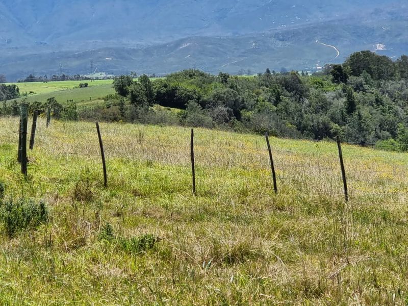 64 ha of natural environment on the Karatara River with some cleared areas on the plato at the top of the property - Photo 8
