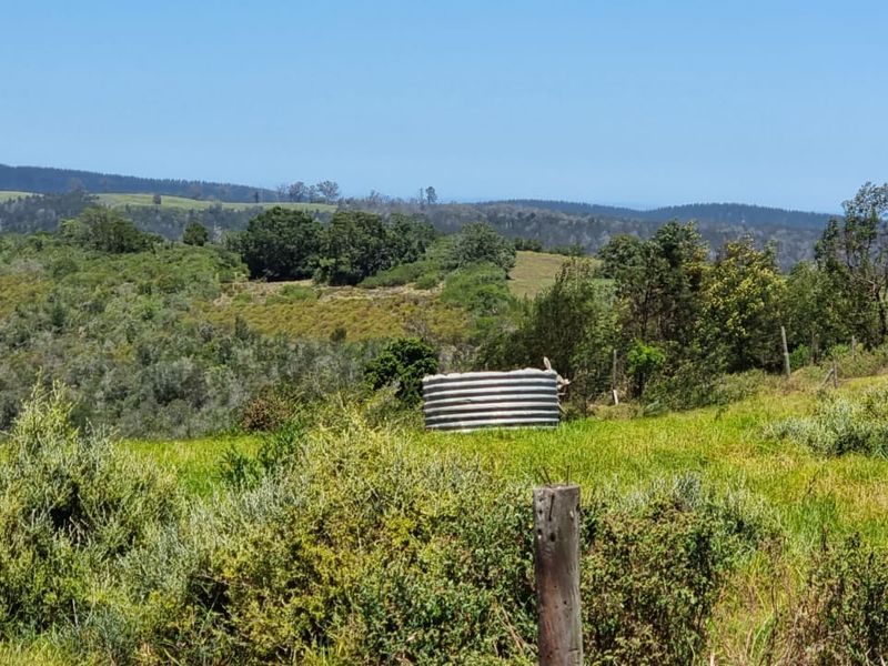 64 ha of natural environment on the Karatara River with some cleared areas on the plato at the top of the property - Photo 7