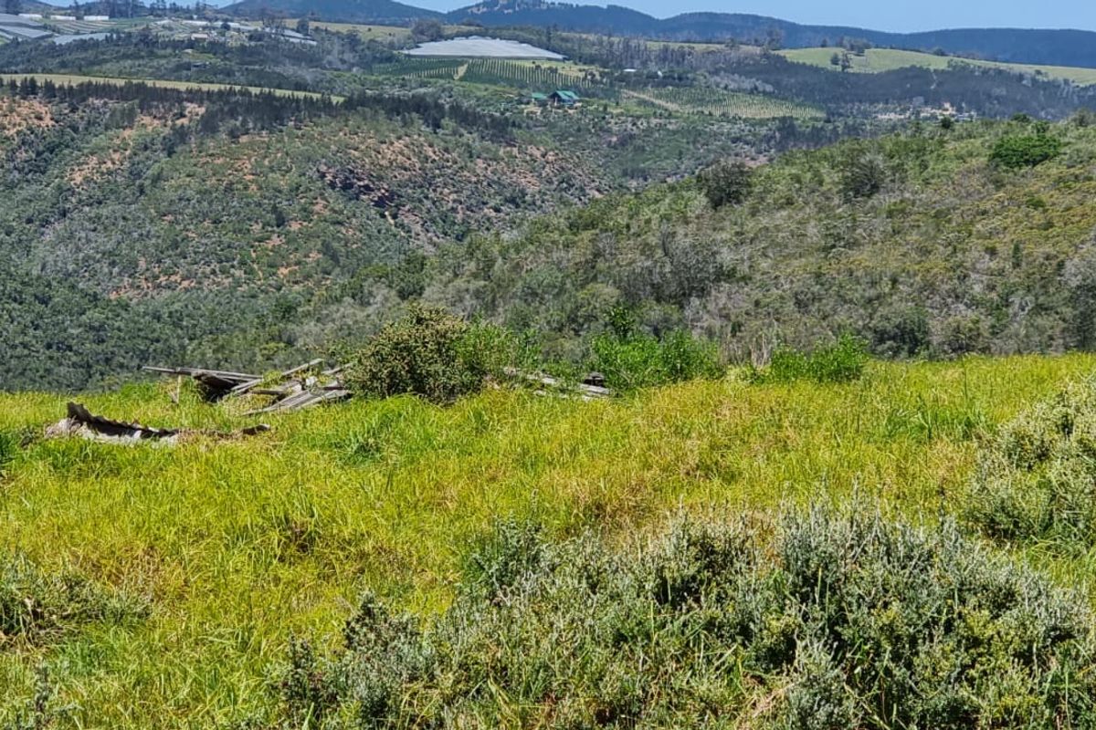 64 ha of natural environment on the Karatara River with some cleared areas on the plato at the top of the property - Photo 5