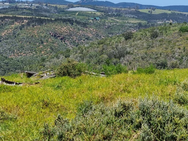 64 ha of natural environment on the Karatara River with some cleared areas on the plato at the top of the property - Photo 5