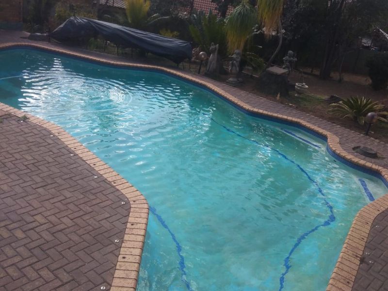 A backyard swimming pool featuring a curved design with brick paving surround and integrated steps.