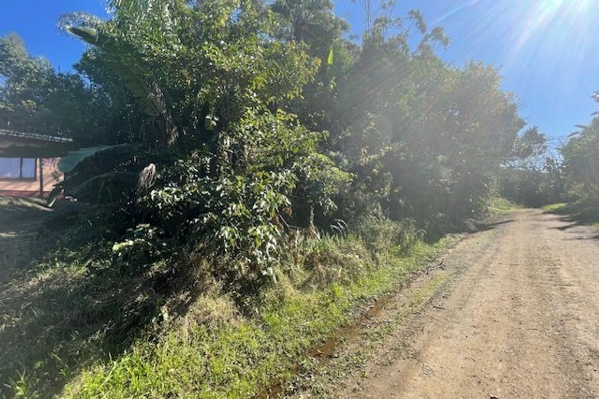 Vacant Land for Sale – Ramsgate Ext 3 – R1350sqm of Potential! - Photo 5